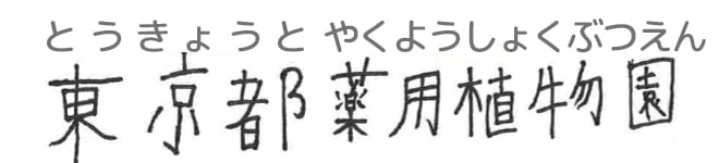東京都薬用植物園