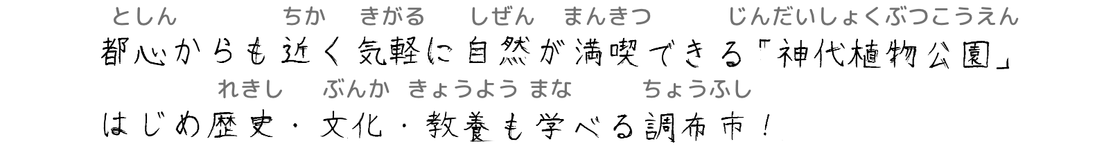 都心からも近く気軽に自然が満喫できる「神代植物公園」はじめ歴史・文化・教養も学べる調布市！