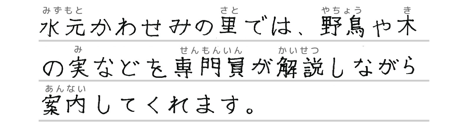 水元かわせみの里では、野鳥や木の実などを専門員が解説しながら案内してくれます。