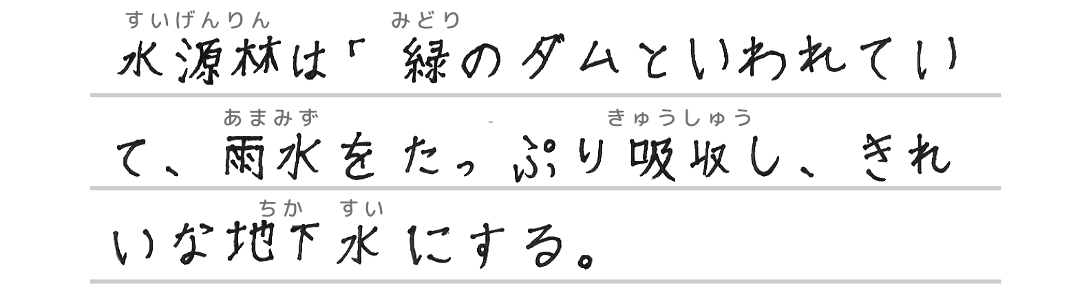水源林は「緑のダム」といわれていて、雨水をたっぷり吸収し、きれいな地下水にする。