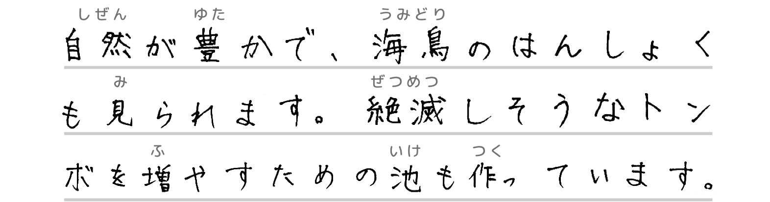 自然が豊かで、海鳥のはんしょくも見られます。絶滅しそうなトンボを増やすための池も作っています。