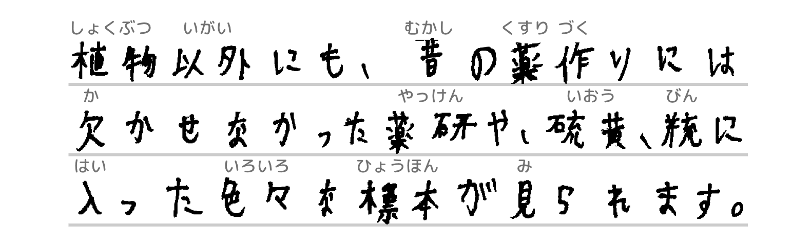 植物以外にも、昔の薬作りには欠かせなかった薬研や、硫黄、瓶に入った色々な標本が見られます。