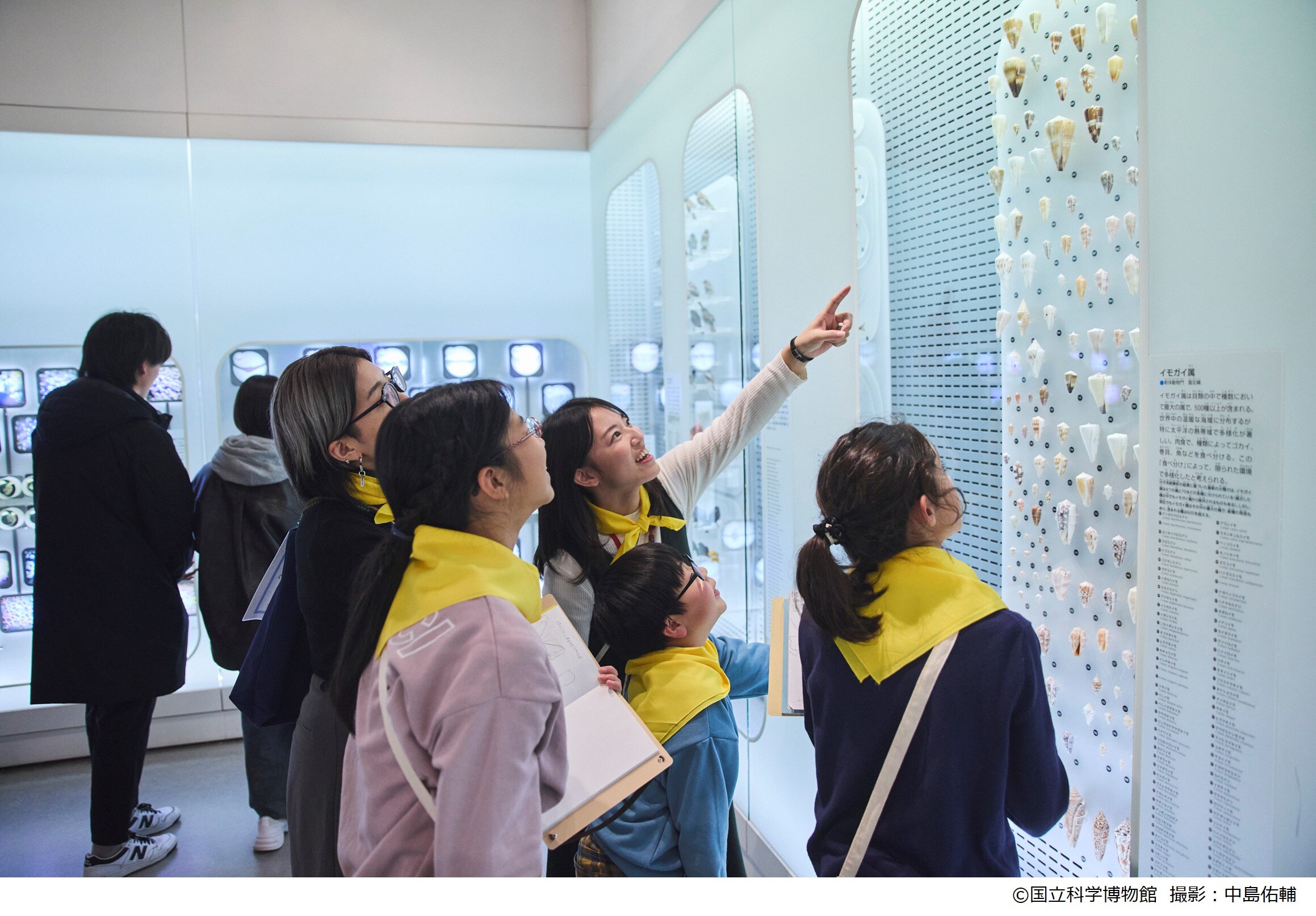 museum start あいうえの「ファミリー＆ティーンズプログラム」