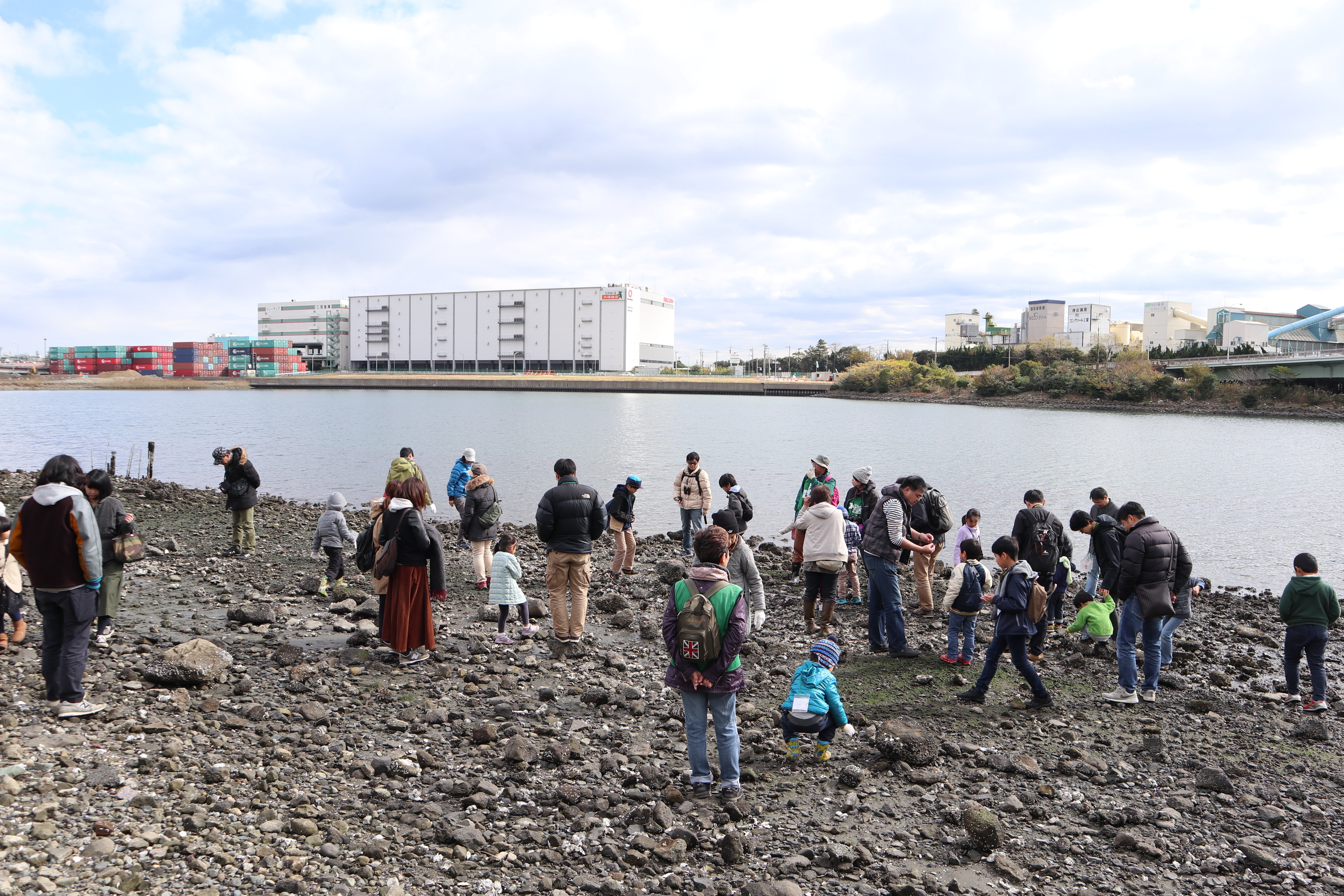 干潟のいきもの観察会