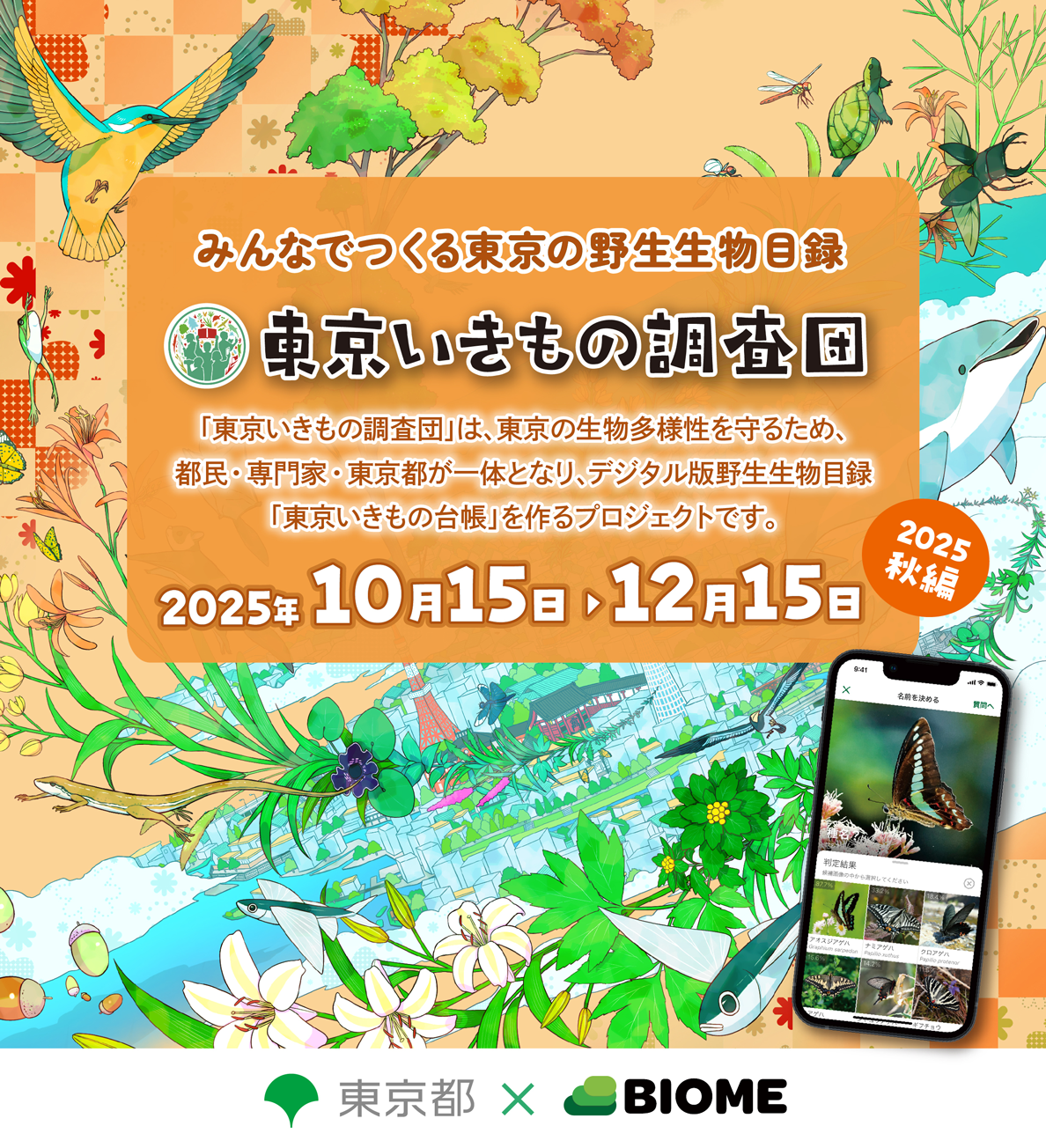 東京いきもの調査団2025秋編開催