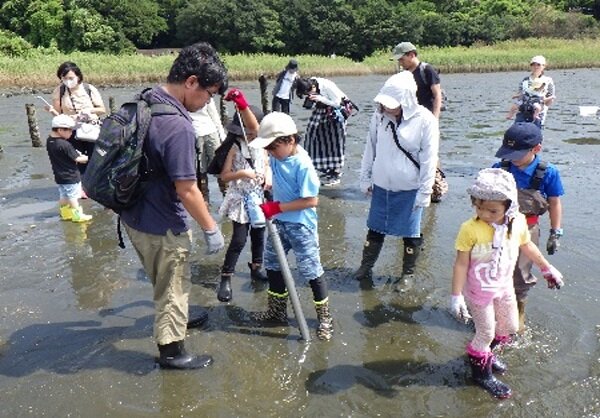 大井ふ頭中央海浜公園　なぎさの森 ビーチクリーン＆干潟の生きもの